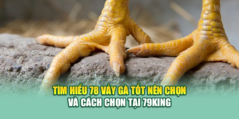 78 Vảy Gà Tốt Nên Chọi – Bí Quyết Chọn Kê Chiến Tại 79King 1 Tìm hiểu 78 vảy gà tốt nên chọi và cách chọn tại 79King