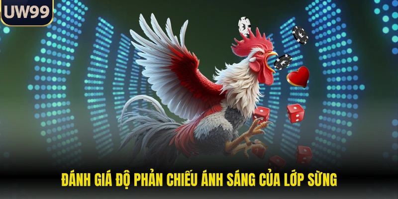 Đánh giá độ phản chiếu ánh sáng của lớp sừng