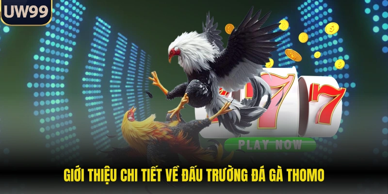 Giới thiệu chi tiết về đấu trường đá gà Thomo