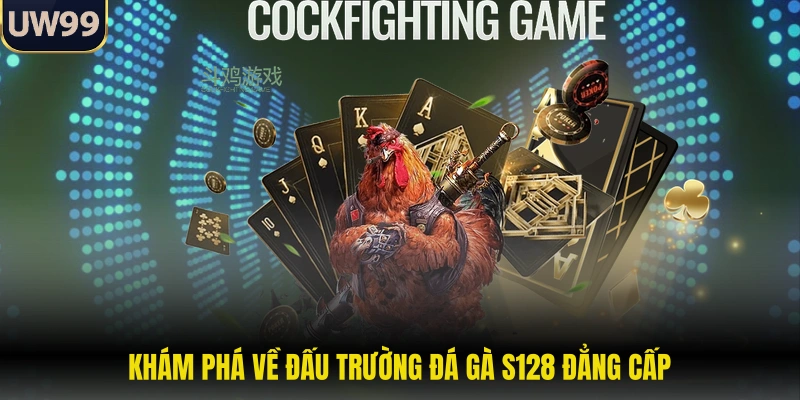 Đá Gà S128 - Các Trận Chiến Rực Lửa Tại Đấu Trường 1 Khám phá về đấu trường đá gà S128 đẳng cấp