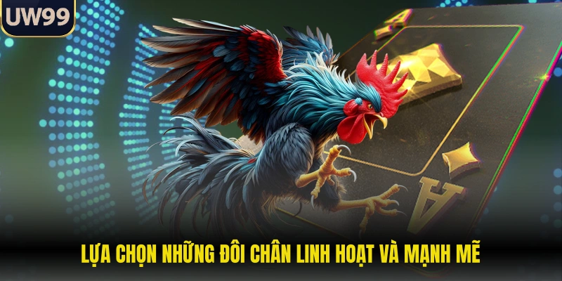 Lựa chọn những đôi chân linh hoạt và mạnh mẽ 
