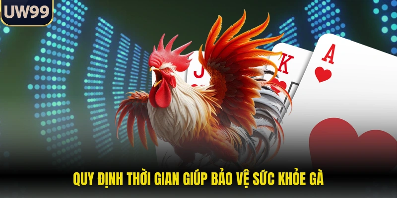 Quy định thời gian giúp bảo vệ sức khỏe gà 