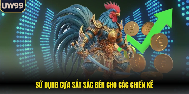 Sử dụng cựa sắt sắc bén cho các chiến kê 