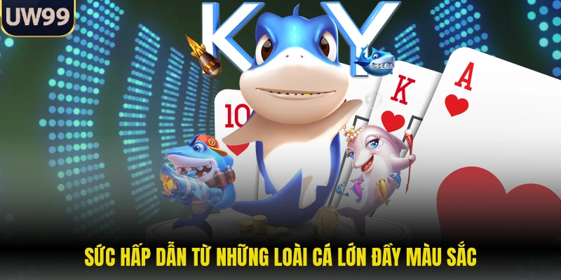 Sức hấp dẫn từ những loài cá lớn đầy màu sắc