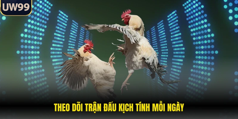 Theo dõi trận đấu kịch tính mỗi ngày